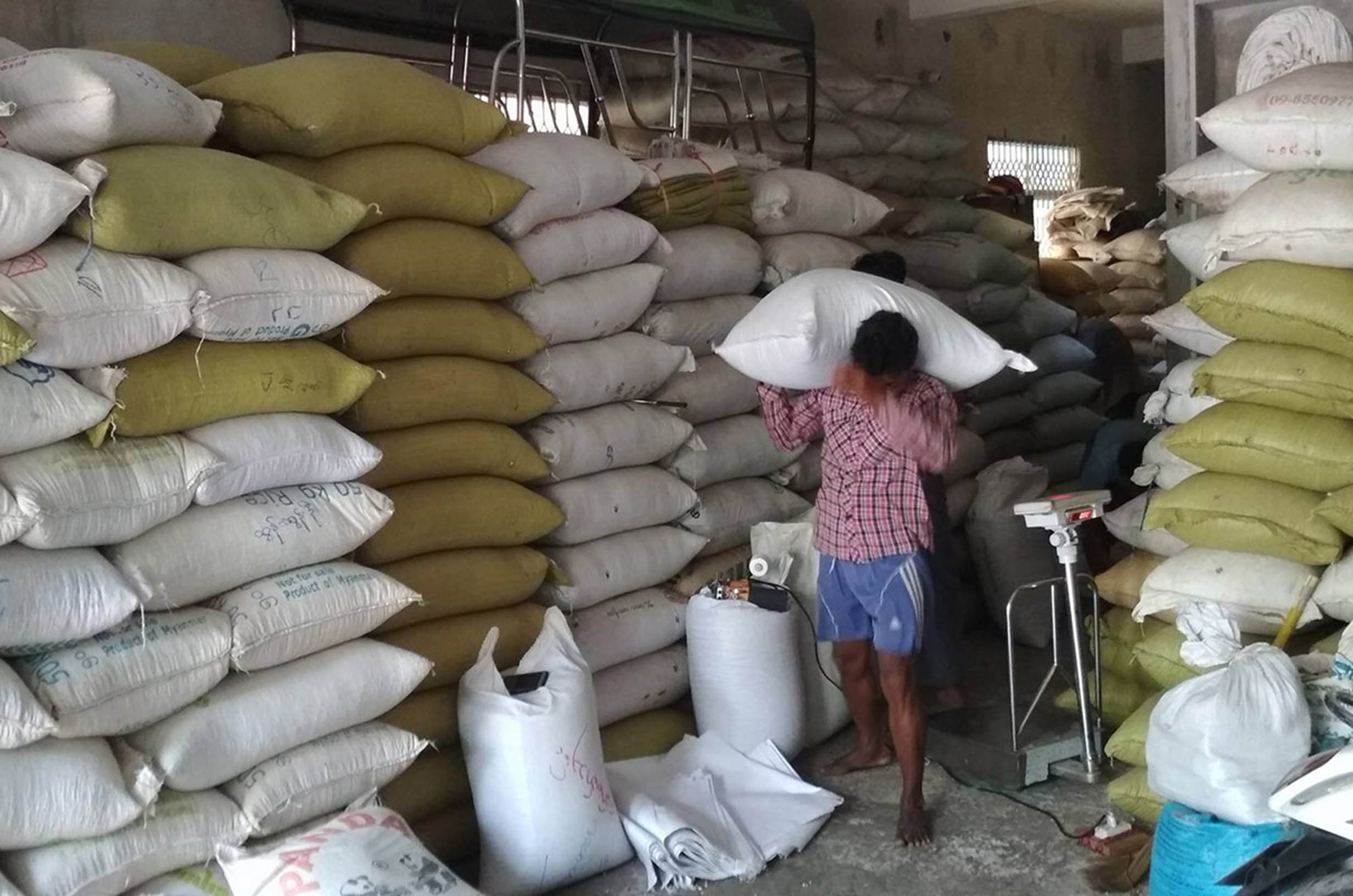 India’s low demand on pluses and beans slashed black bean prices in domestic market 