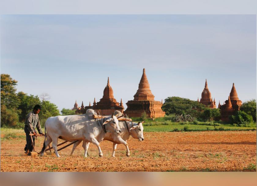 Myanmar tourism authorities are looking for to capitalize on recent tourism rebound and stimulate more investments in the tourism sector 