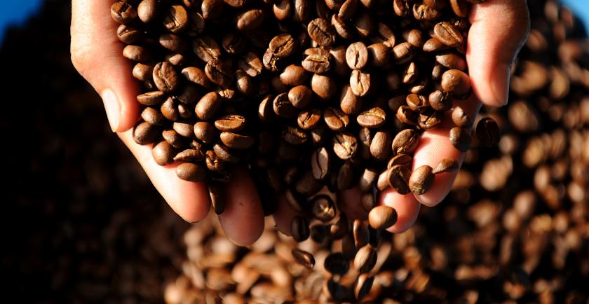 Increasing market demand and modernized cultivation techniques stimulate coffee exports