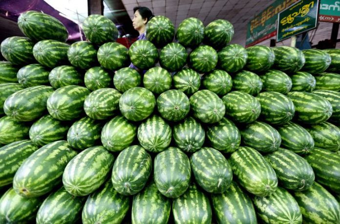 Traders requested China for temporary stay to sell watermelon and muskmelon
