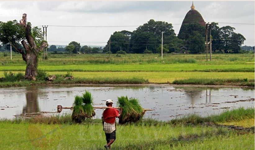 Myanmar plans to borrow USD $ 200 million from the World Bank to assist rehabilitation farmers after COVID – 19 pandemic 