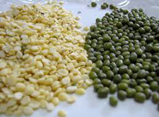 India pre-orders Myanmar's fair average quality (FAQ) mung beans with the price of USD 1,400 per tonne 