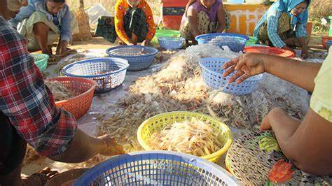 Yangon Regional Government will take an action to crack down on illegal seafood imports from Thailand 