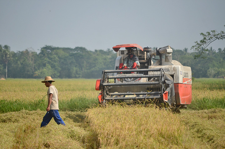 Myanmar’s agriculture sector attracts only 0.55 percent of all foreign direct investment this financial year