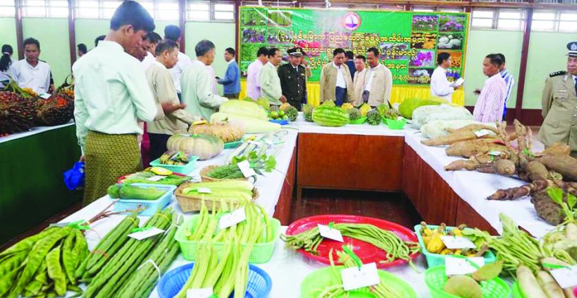 Myanmar Agriculture products export reached over USD $ 1.28 billion in first 5 months from February to October of 2018- 2019 fiscal year 