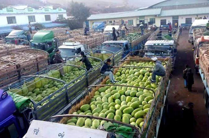The watermelon trucks are stranded at Myanmar – China border checkpoints due to the tight security measures  