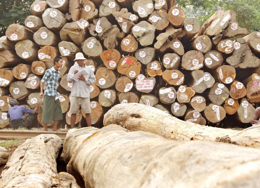 To control illegal trading of Myanmar timber, auctions for timber is temporarily suspended