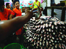 Myanmar Fisheries Federation will request the upcoming government to focus on the development of fishery sector