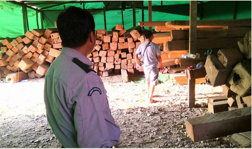 Myanmar condemns the London-based Environmental Investigation Agency (EIA)’s last report on illegal teak exports to European Union through black market  