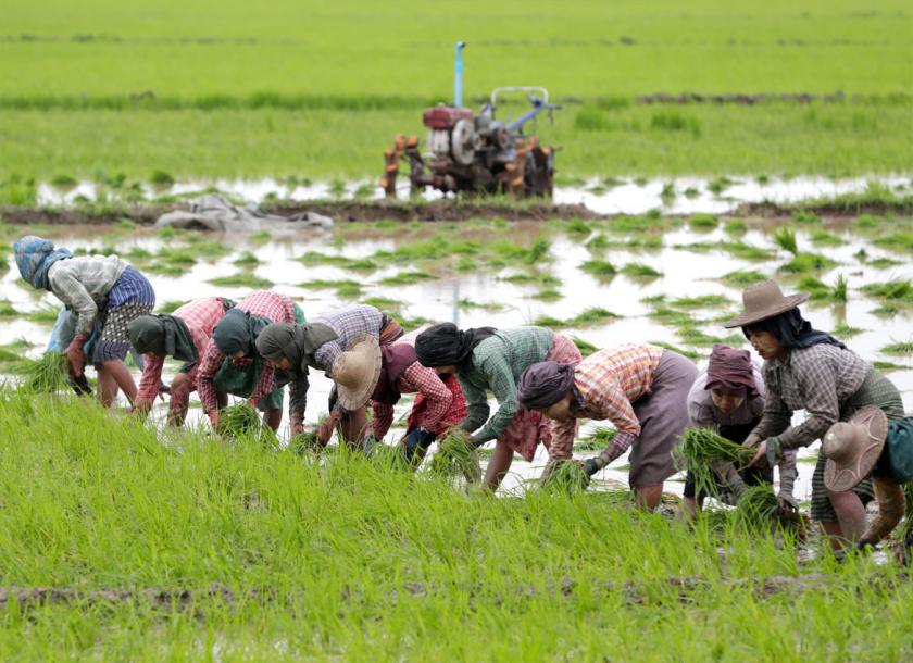 Myanmar Agricultural Development Bank (MADB) will extend the repayments period for its agricultural loans to farmers for the winter crop season by next three months 