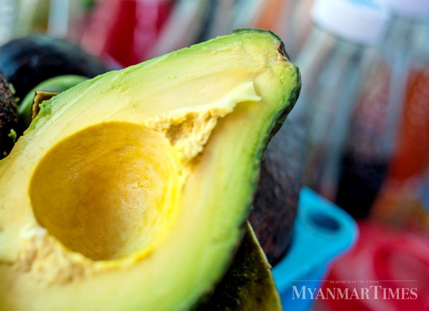 Myanmar’s avocado growers are suffering for poor prices on their crops due to the poor harvesting techniques and unsystematic picking of avocados 