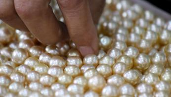Myanmar Pearl Enterprise (MPE) is planning to raise production of high quality local pearls by working with international companies, and sharing research and technologies among the local pearl producers 