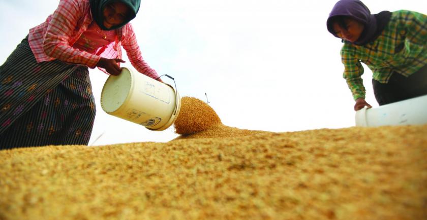 Myanmar Rice Federation (MRF) invited investors to submit the proposal for building rice drying machines and storage facilities 
