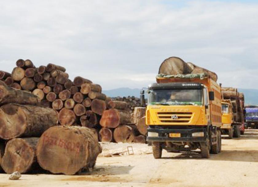 London based Environmental Investigation Agency (EIA) warned that a timber trade deal in Kayah State undermines the government’s forestry reform and urged authorities to revoke the agreement 
