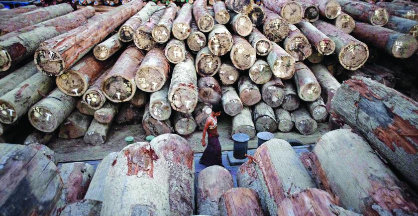 Ministry of Natural Resources and Environmental Conservation will allow logging and export from private forest plantations by local and foreign investors 