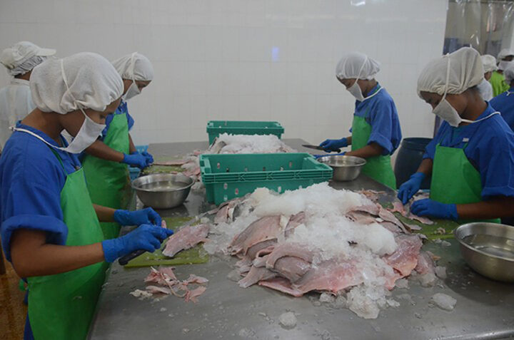 Myanmar earned nearly USD $ 850 million from fishery export in 2019 – 2020 financial year  
