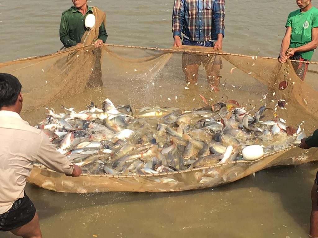 Fisheries Department earmarked K 6 billion to support fish species for 150,000 acres of fish ponds 