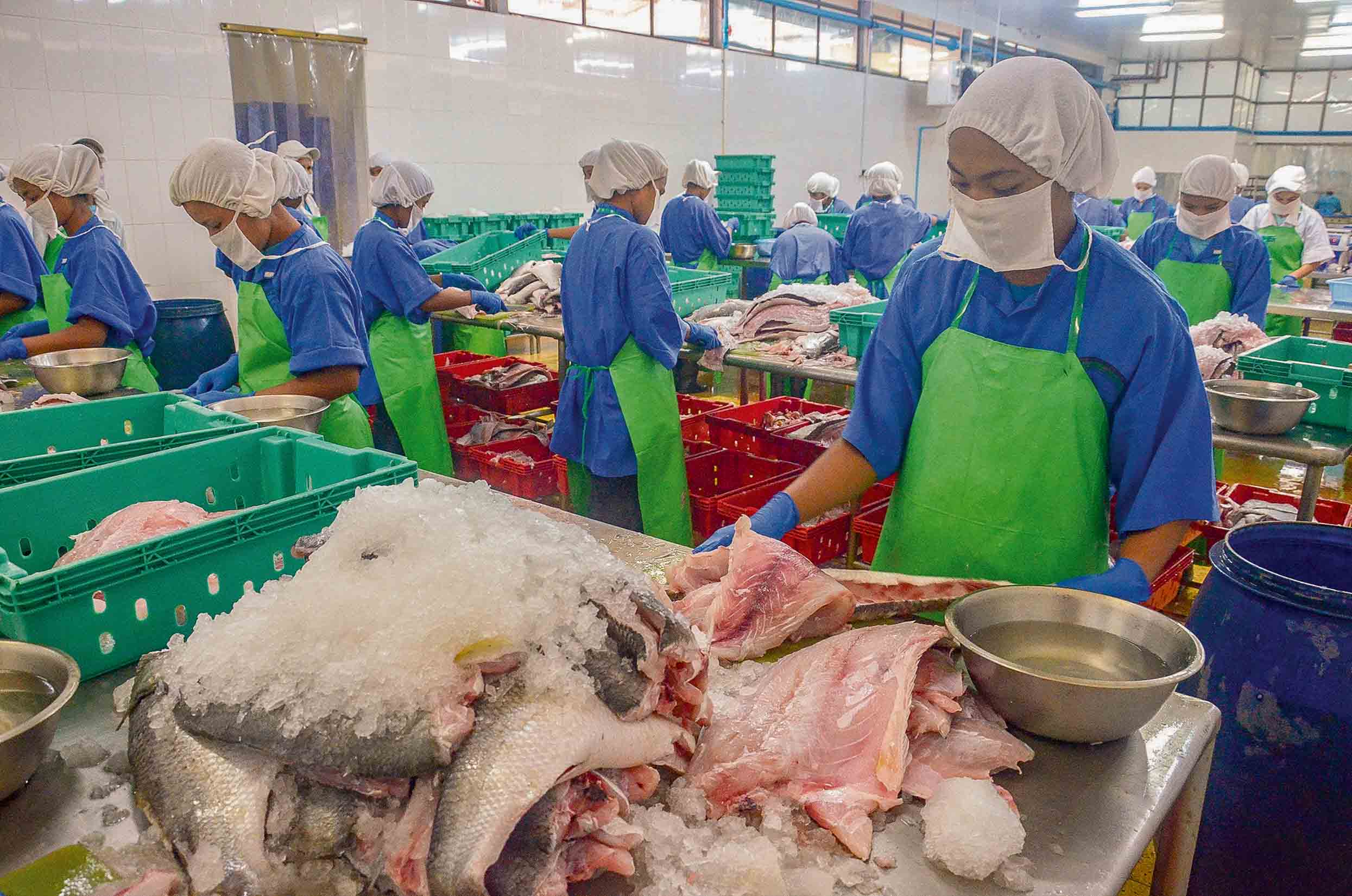 The exports earnings from the fisheries sectors reached over USSD $ 700 million in the 2019 – 2020 fiscal year 