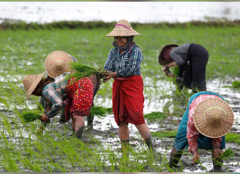 Ministry of Commerce and Government of Yunnan Province signed a memorandum of understanding (MOU) on rice and other crops exports from Myanmar to China  