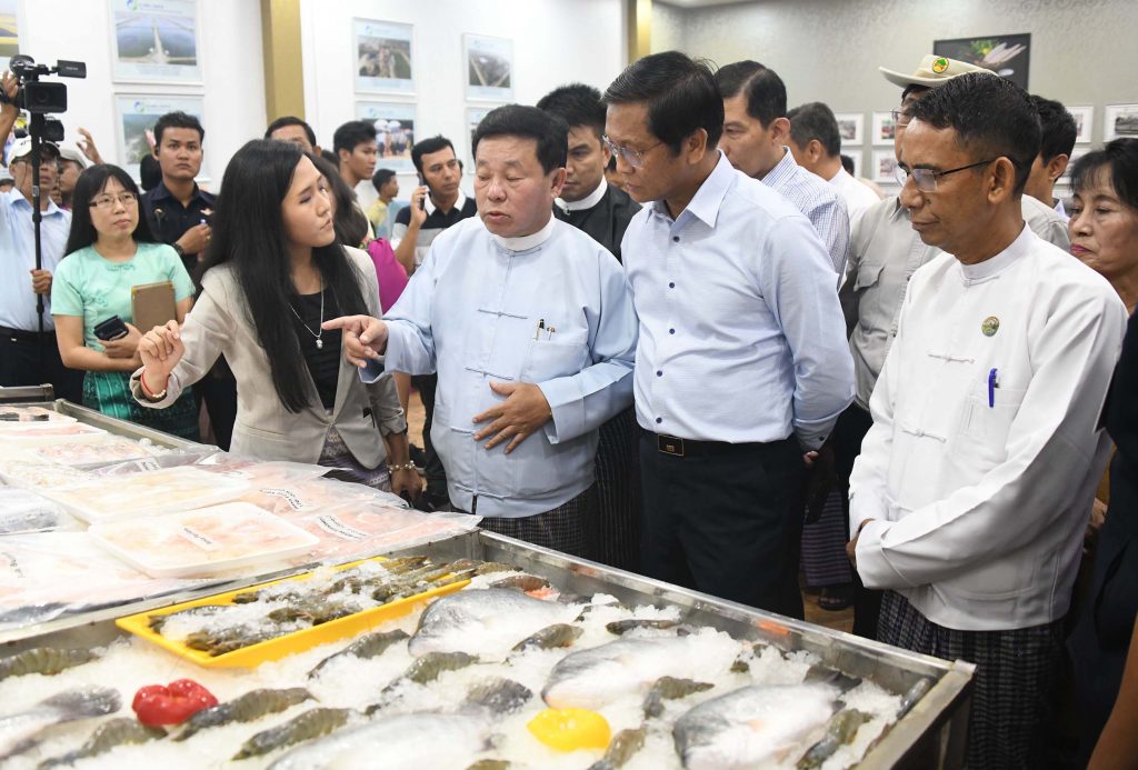 Vice President expected Ayeyawady integrated Food Industry Complex in Pantanaw to become an initial project for Myanmar fisheries products to penetrate international markets 