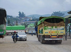 Chinese fruit traders extend reach into Shan State to deal directly with fruit farmers, rather than with brokers at the Muse border post 