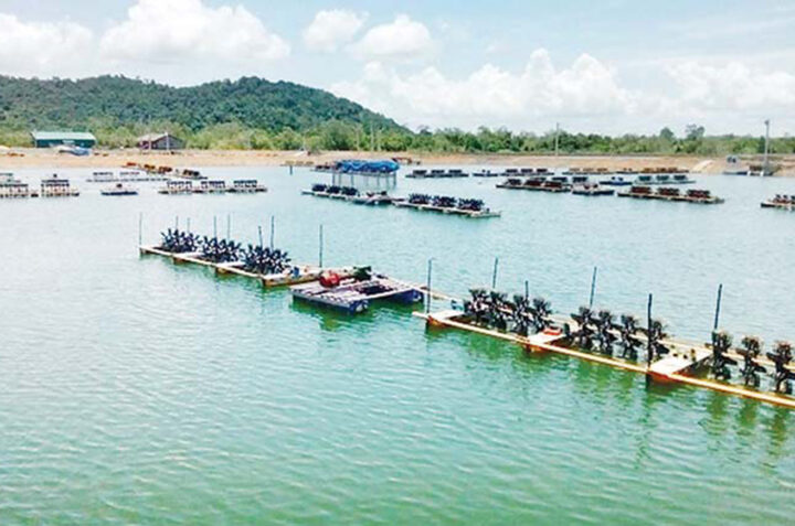 The saltwater fish farming development called government for favorable natural environment