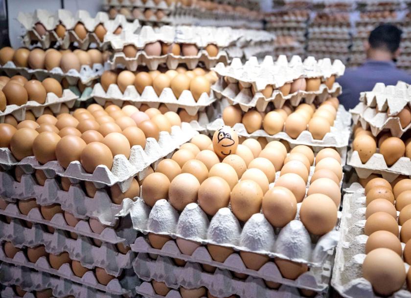 Local egg prices dropped by about half due to the high logistical issues 