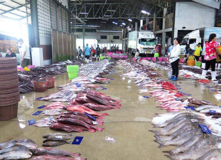 Due to illegal exports with neighbouring countries, Tanintharyi’s fisheries industry’s potential for growth was marred 