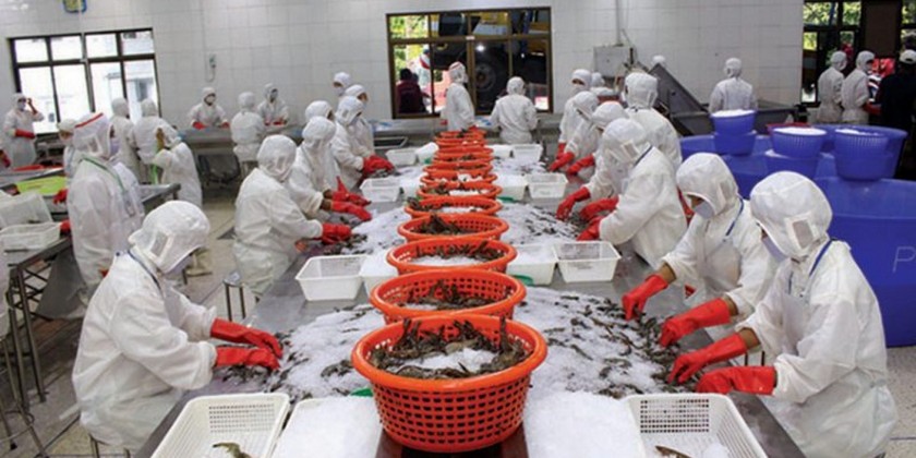 More than USD $ 720 million earned from fishery product exports over the past nine and half months of 2019 – 2020 fiscal year  