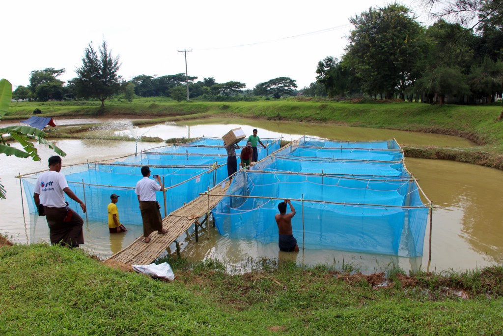 The exports of aquaculture products to European Union (EU) is limited due to the lack of proper laboratory facilities 