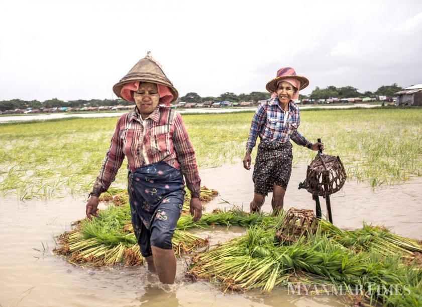 Government plan to create rural jobs, agriculture and construction jobs opportunities to support farmers under the Myanmar’s COVID – 19 Economic Relief Plan (CERP)  
