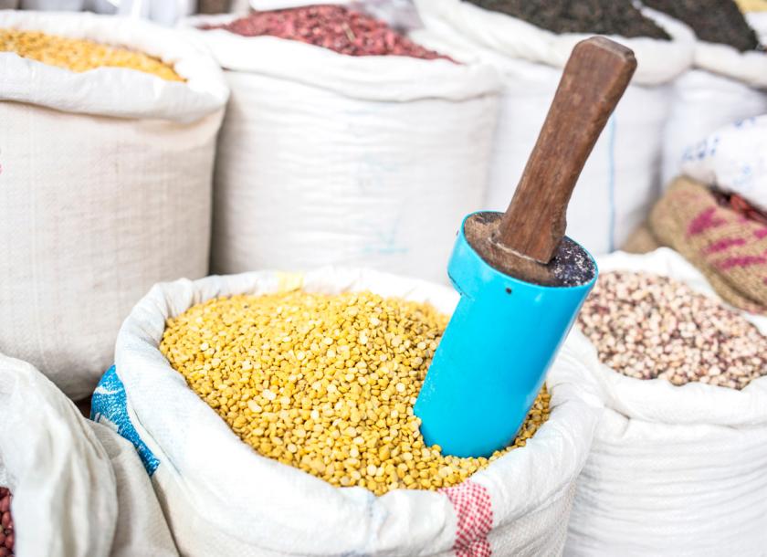 Myanmar earned nearly USD $ 930 million from export of beans and pulses in 11 months of this fiscal year which exceeded over USD $ 300 million when compared to the same period of last fiscal year 