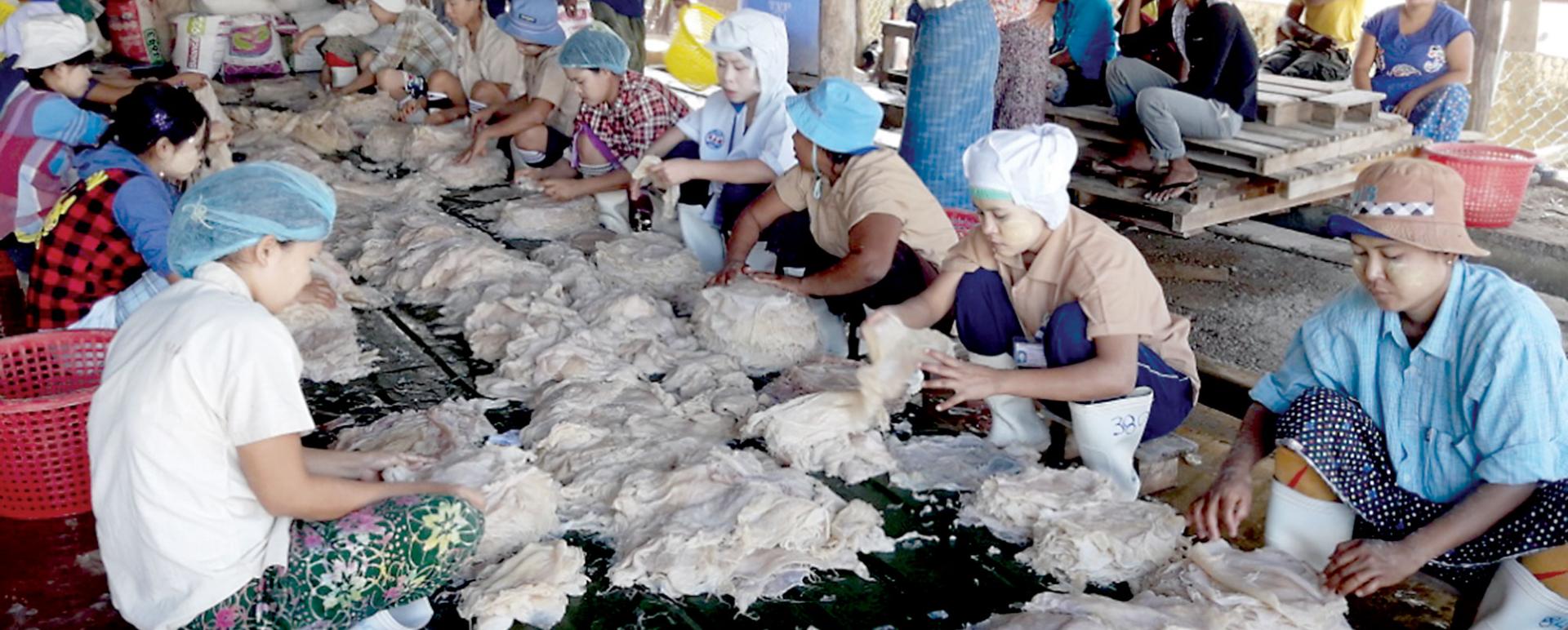 Tanintharyi Region plans to export marine products to Thailand in order to increase foreign income of the trading sector 