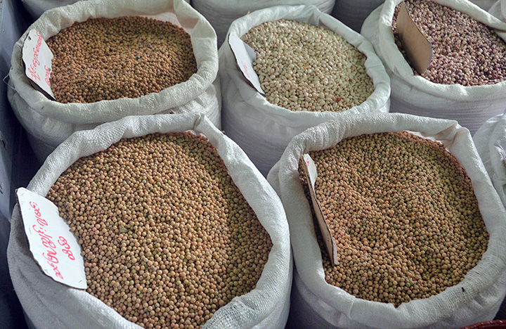 Ministry of Commerce plans to submit the outcome of the meeting on pulses industry development to the Union Government to update the current conditions and requirements of Myanmar’s pulses market 
