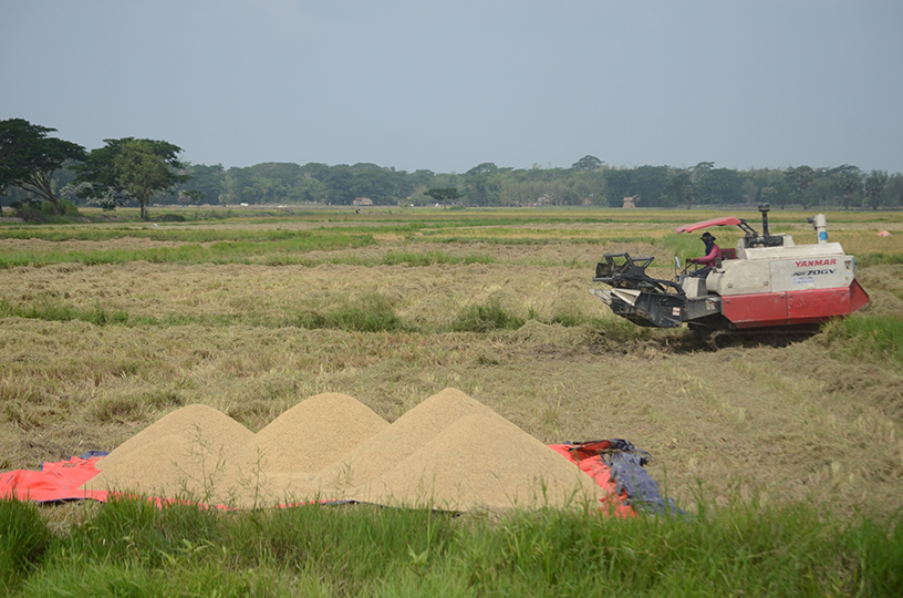 Ministry of Commerce and Myanmar Rice Federation (MRF) set rice export quota of 150,000 tonnes in May 2020 