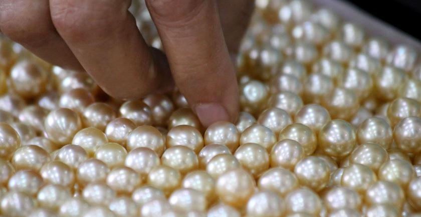 Myanmar earned over K 13 billion from three time sales of Myanmar pearls locally and internationally 